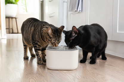 AquaPaw™ Wireless Pet Fountain